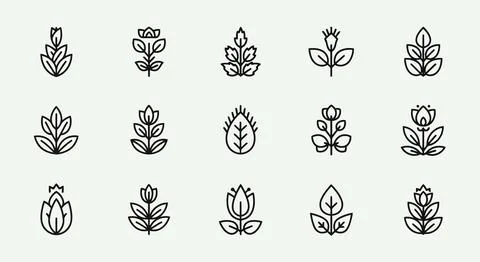 A collection of various types of leaves and flowers in a symmetrical patter.. Illustrazione stock