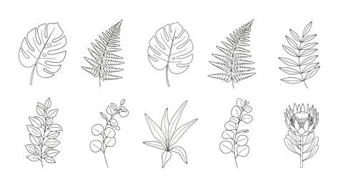 A collection of various types of trees and plants with intricate branches a.. Stock Illustration