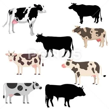 Collection of the various vector of cows Ilustração Stock
