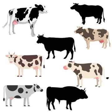 Collection of the various vector of cows Stock Illustration