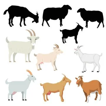 Collection of the various vector of goats Stock Illustration