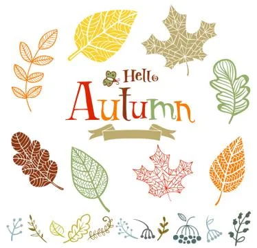 Collection of vector autumn leaves Stock Illustration