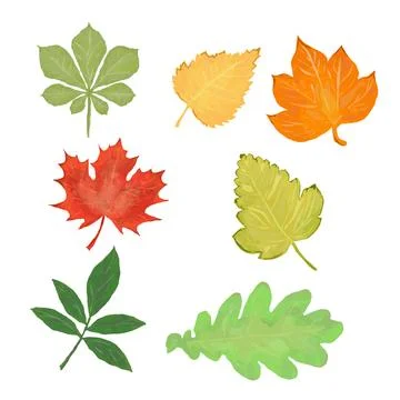 Collection of vector autumn leaves Stock Illustration