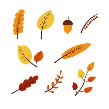 Collection of vector autumn leaves Stock Illustration