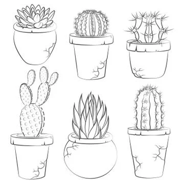 Collection of vector cactuses in flower pot. Stock Illustration