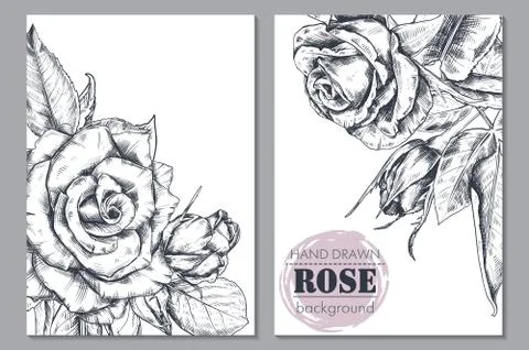 Collection of vector floral backgrounds for card or invitation with hand drawn Stock Illustration