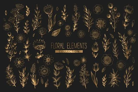 Collection of vector floral elements with gold hand drawn flowers, leaves bra Stock Illustration