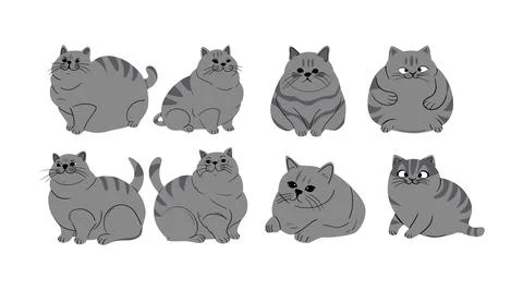Collection of vector illustrations of cute fat cats Stock Illustration