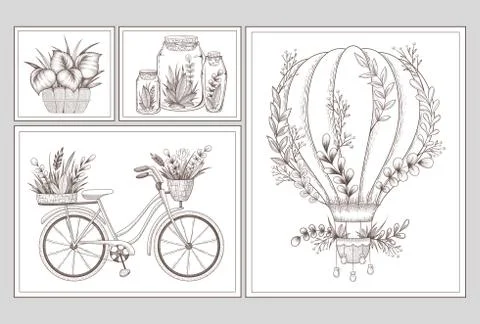 Collection of vector illustrations with hand drawn decoration elements, plant Stock Illustration