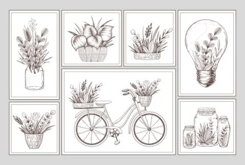 Collection of vector illustrations with hand drawn decoration elements, plant Stock Illustration