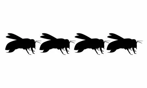 Collection of Vector Illustrations of Honey Bee Silhouettes in a Row, Pest Insec Illustrazione stock