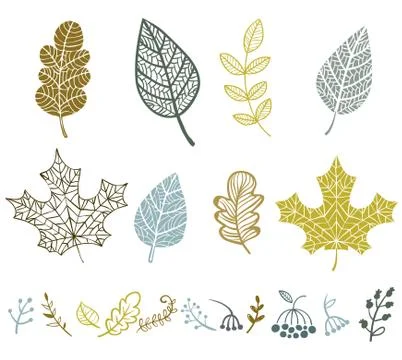 Collection of vector leaves Stock Illustration
