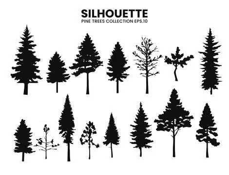 A collection of vector pine tree silhouettes in various styles. Illustrazione stock