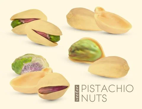 Collection of vector pistachio nuts. Realistic dry shell background. Stock Illustration