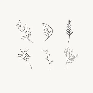 Collection of vector plants. Freehand doodle botanical illustration Stock Illustration
