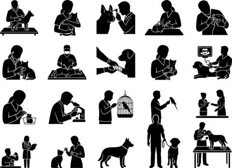 A collection of vector silhouettes showing veterinary medical procedures an.. 스톡 일러스트