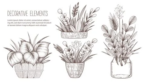 Collection of vector vintage illustrations with hand drawn home decoration el Stock Illustration