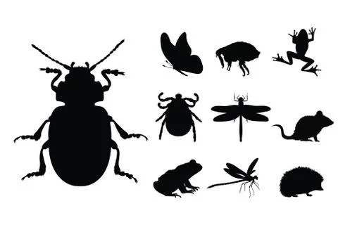Collection vectors of insect and small animal on white background. Symbol of  Stock-Illustration