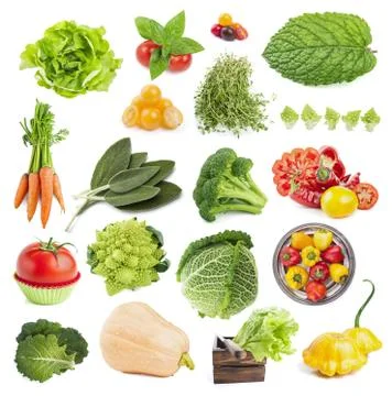 Collection of vegetables Stock Photos