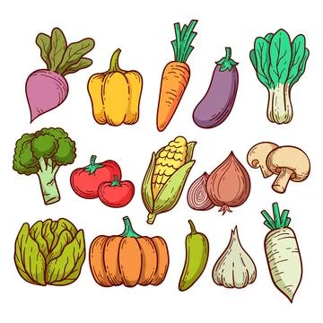 Collection of vegetables vector hand drawn illustration 库存插图