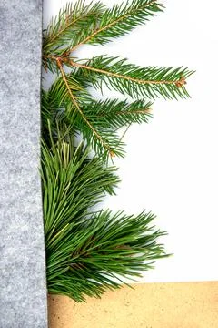A collection of vibrant evergreen branches is partially covered by soft gray  Stock Photos