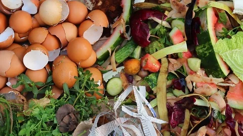 The collection of waste that can break down into soil Stock Footage 92839779