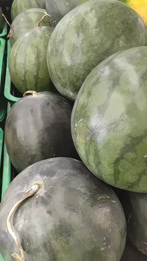 Collection of watermelons in a box Stock Footage 276722186