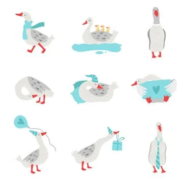 Collection of White Geese in Different Situations, Cute Birds Cartoon Characters Stock Illustration