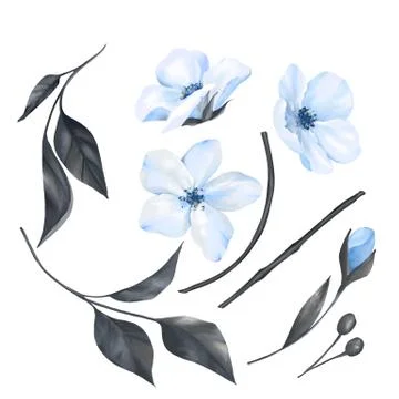 Collection of white spring flowers and leaves Stock-Illustration
