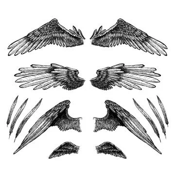 Collection of wings for your design Stock Illustration