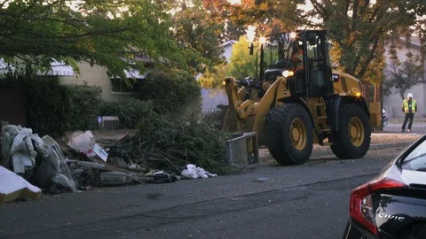 Collections Claw Moving Tree Debris 2 库存影片 97652539