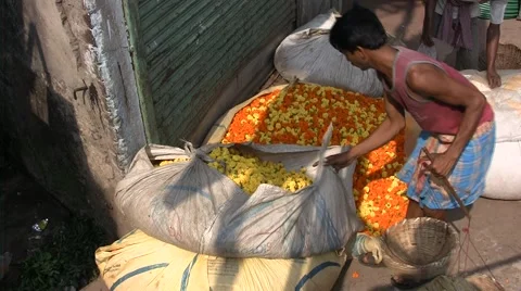 Collector of eyelets in India Stock Footage 52063483