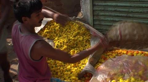 Collector of eyelets in India Vídeos de archivo 52070644