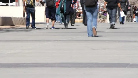 College campus 2848 Stock Footage 1059636