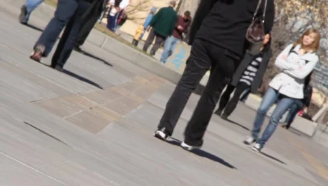 College campus 2879 Stock Footage