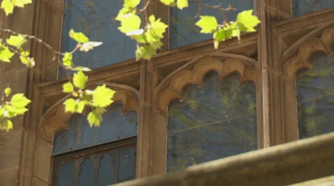 College campus building Stock Footage 34619271