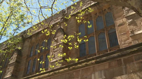 College campus building Vídeo Stock 34622573