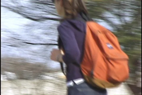 College Campus  Stock Footage 297181