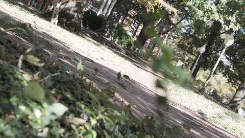 College Campus Stock Footage 98842657