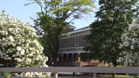 College Campus with Spring Blooms Stock Footage 236811966