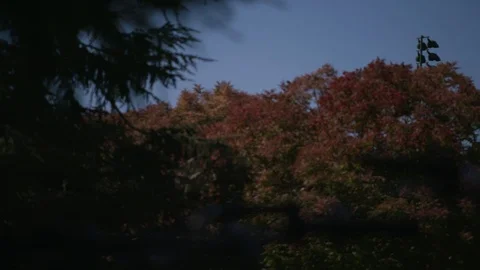 College campus tower 3 Video stock 103868871