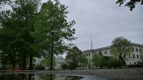College Campus - Walk By Stock Footage 75659462