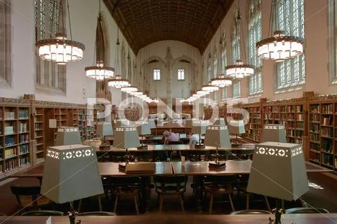 College library reading room Stock Photos