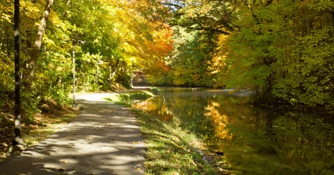 College pond path timelapse 4k Stock Footage 63421814