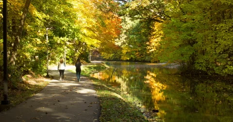 College pond path timelapse 4k Stock Footage 63431806