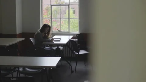 College Student Sits Doing Class Work 스톡 동영상 208719917