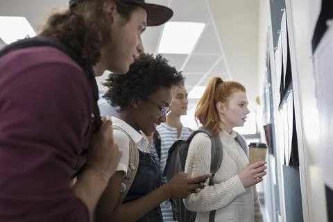College students checking test results on bulletin board Stock Photos