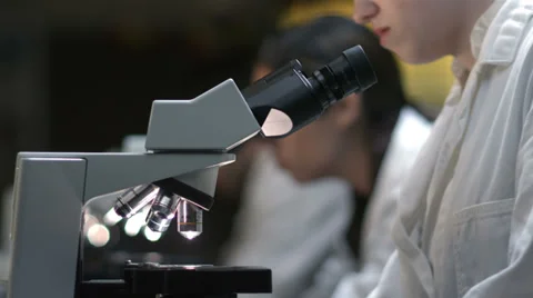 College Students in a lab look through a microscope during their experiment Stock Footage 33880193