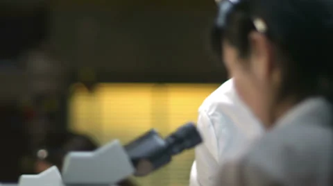 College Students in a lab look through a microscope during their experiments Stock Footage 33880498