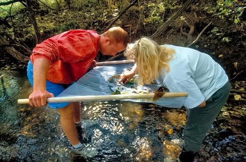 College Students Study River and Stream Ecology Stock Photos